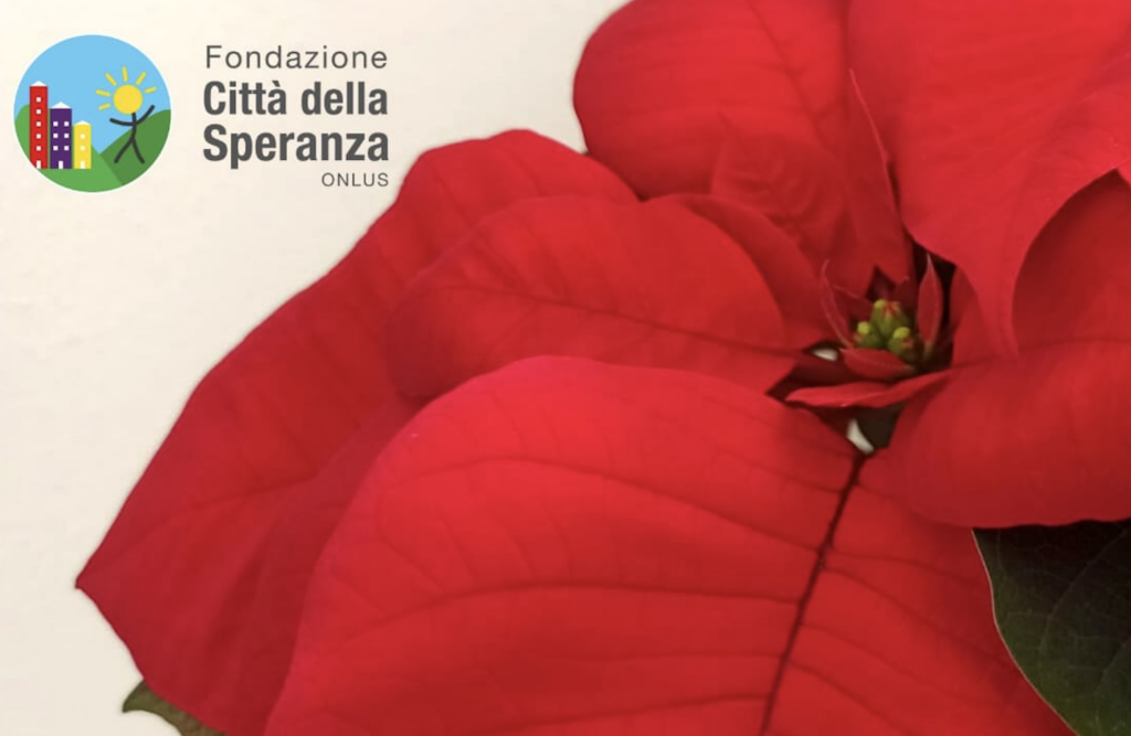Stelle di Natale per la Speranza